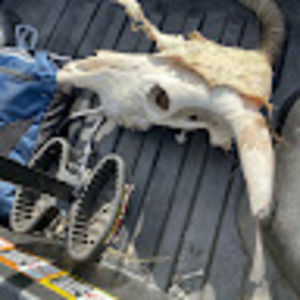 Meet your Posher, Devin